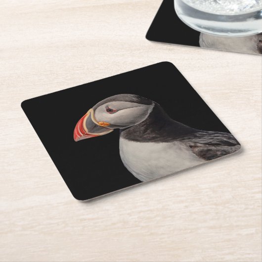 Atlantic Puffin in Machias, Maine Kartonnen Onderzetters (Schuin)