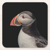 Atlantic Puffin in Machias, Maine Kartonnen Onderzetters (Voorkant)