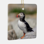 Atlantic Puffin in Machias, Maine Keramisch Ornament (Rechts)