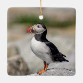 Atlantic Puffin in Machias, Maine Keramisch Ornament (Achterkant)