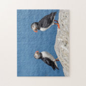 Atlantic Puffin in Machias, Maine Legpuzzel (Verticaal)