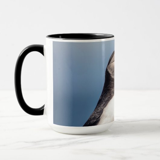 Atlantic Puffin in Machias, Maine Mok (Links)