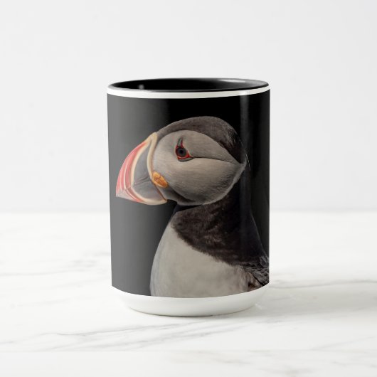 Atlantic Puffin in Machias, Maine Mok (Midden)