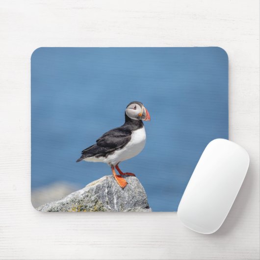 Atlantic Puffin in Machias, Maine Muismat (Met muis)