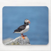 Atlantic Puffin in Machias, Maine Muismat (Voorkant)