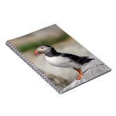 Atlantic Puffin in Machias, Maine Notitieboek (Rechterzijde)