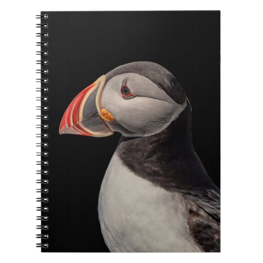Atlantic Puffin in Machias, Maine Notitieboek (Voorkant)