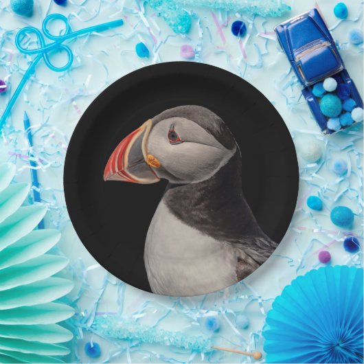 Atlantic Puffin in Machias, Maine Papieren Bordje (Feest)