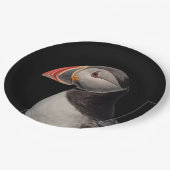 Atlantic Puffin in Machias, Maine Papieren Bordje (Gekanteld)