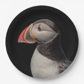 Atlantic Puffin in Machias, Maine Papieren Bordje (Voorkant)