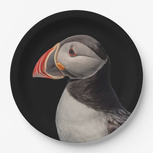 Atlantic Puffin in Machias, Maine Papieren Bordje (Voorkant)