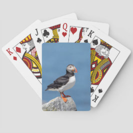 Atlantic Puffin in Machias, Maine Pokerkaarten