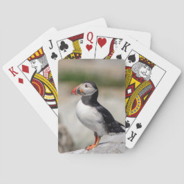 Atlantic Puffin in Machias, Maine Pokerkaarten