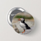 Atlantic Puffin in Machias, Maine Ronde Button 5,7 Cm (Voorkant /achterkant)