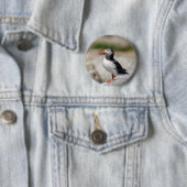 Atlantic Puffin in Machias, Maine Ronde Button 5,7 Cm (In situ)