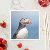 Atlantic Puffin in Machias, Maine Servet (Insitu)