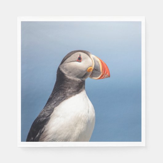 Atlantic Puffin in Machias, Maine Servet (Voorkant)