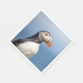 Atlantic Puffin in Machias, Maine Servet (Hoek)