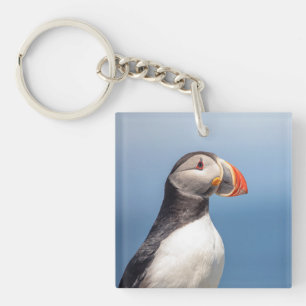 Atlantic Puffin in Machias, Maine Sleutelhanger