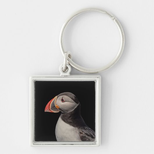Atlantic Puffin in Machias, Maine Sleutelhanger (Voorkant)