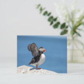 Atlantic Puffin in Machias, ME Briefkaart (Staand voorkant)