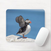 Atlantic Puffin in Machias, ME Muismat (Met muis)