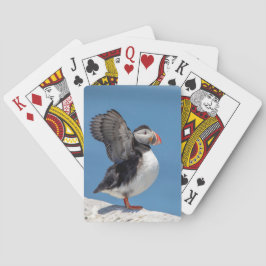 Atlantic Puffin in Machias, ME Pokerkaarten