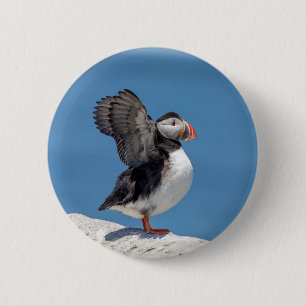 Atlantic Puffin in Machias, ME Ronde Button 5,7 Cm