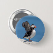 Atlantic Puffin in Machias, ME Ronde Button 5,7 Cm (Voorkant /achterkant)