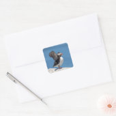 Atlantic Puffin in Machias, ME Vierkante Sticker (Envelop)