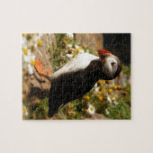 Atlantic Puffin Legpuzzel (Horizontaal)