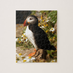 Atlantic Puffin Legpuzzel