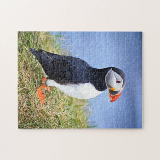 Atlantic Puffin Legpuzzel (Horizontaal)