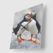 Atlantic Puffin Love Vierkante Klok (Hoek)