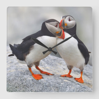 Atlantic Puffin Love Vierkante Klok