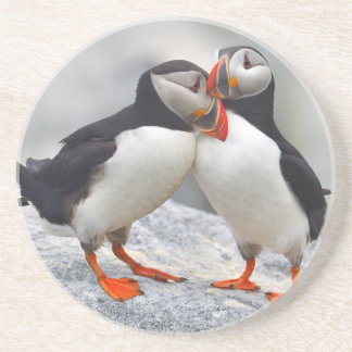 Atlantic Puffin Love Zandsteen Onderzetter