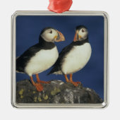 Atlantic Puffin Metalen Ornament (Voorkant)