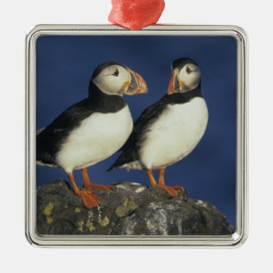 Atlantic Puffin Metalen Ornament
