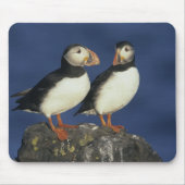 Atlantic Puffin Muismat (Voorkant)