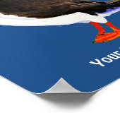 Atlantic Puffin Poster (Hoek)