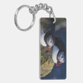 Atlantic Puffin Sleutelhanger (Voorkant Links)