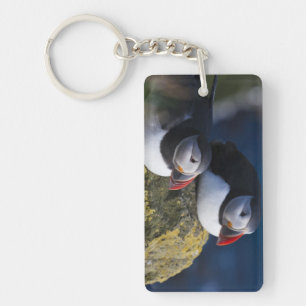 Atlantic Puffin Sleutelhanger
