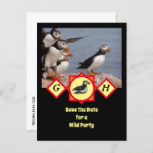 Atlantic Puffin Swimming Cartoon Monogram Foto