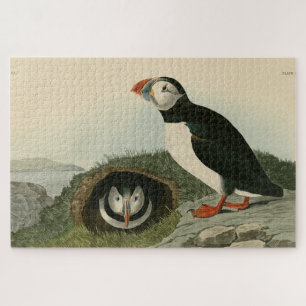 Atlantic Puffin uit Audubon's Birds of America Legpuzzel