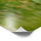 Atlantic Puffin-vliegende hond Foto Afdruk (Hoek)