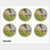 Atlantic Puffin vogel vliegen rond sticker (Vel)