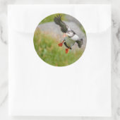 Atlantic Puffin vogel vliegen rond sticker (Tas)