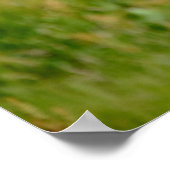 Atlantic Puffin-vogel vliegend poster (Hoek)