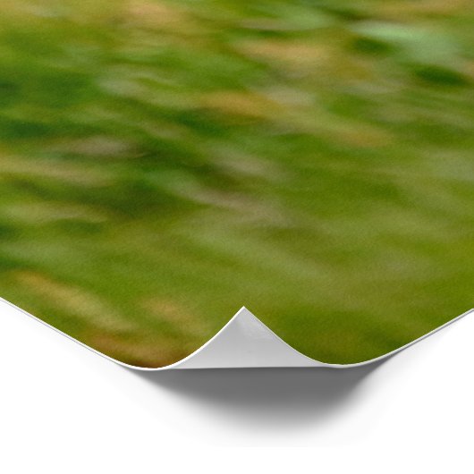 Atlantic Puffin-vogel vliegend poster (Hoek)