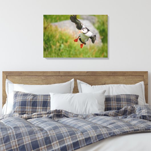 Atlantic Puffin vogel vliegende canvas print (Insitu (Slaapkamer))